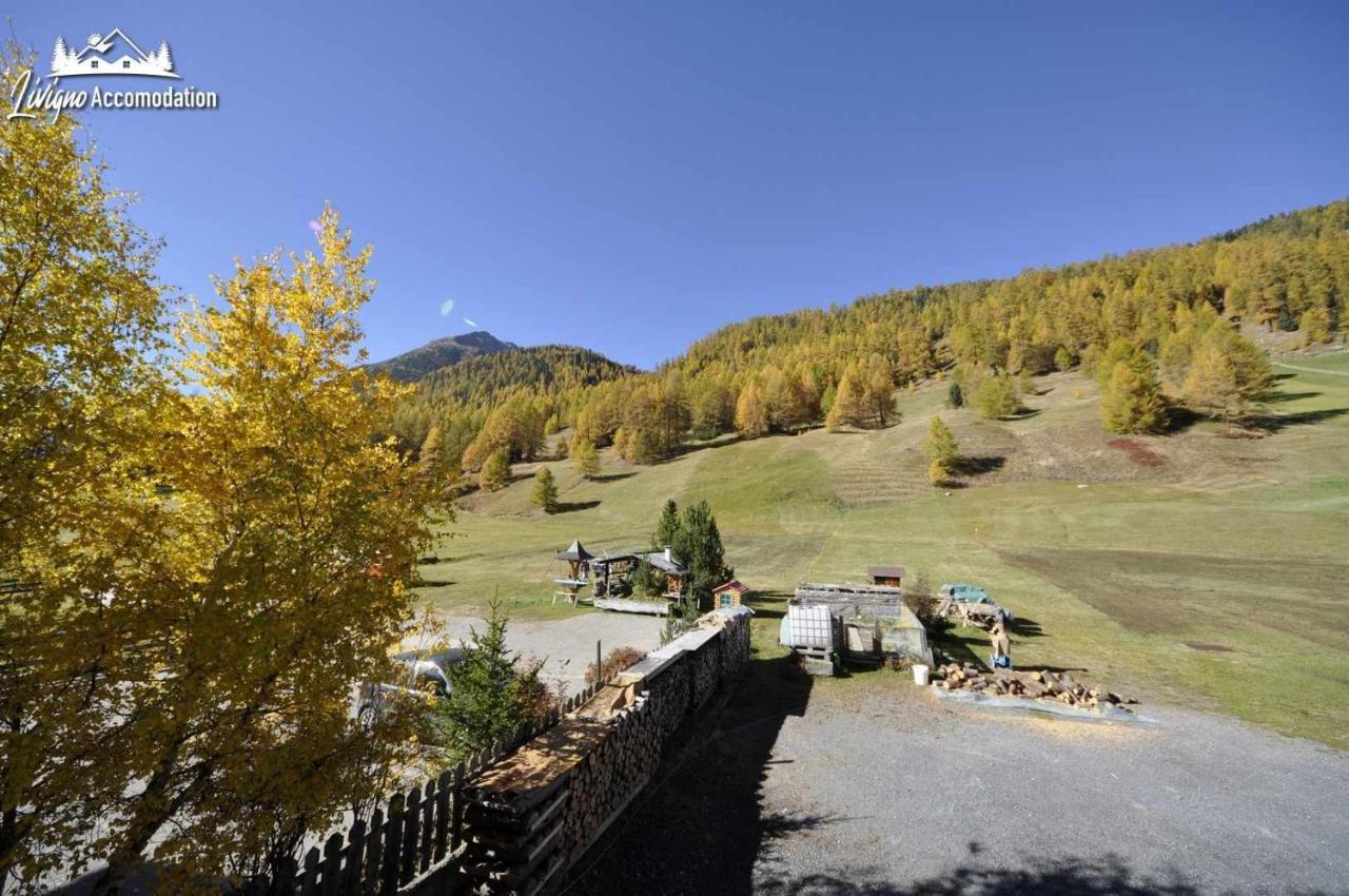 Casa Florin Giumel By Accomodation Livigno